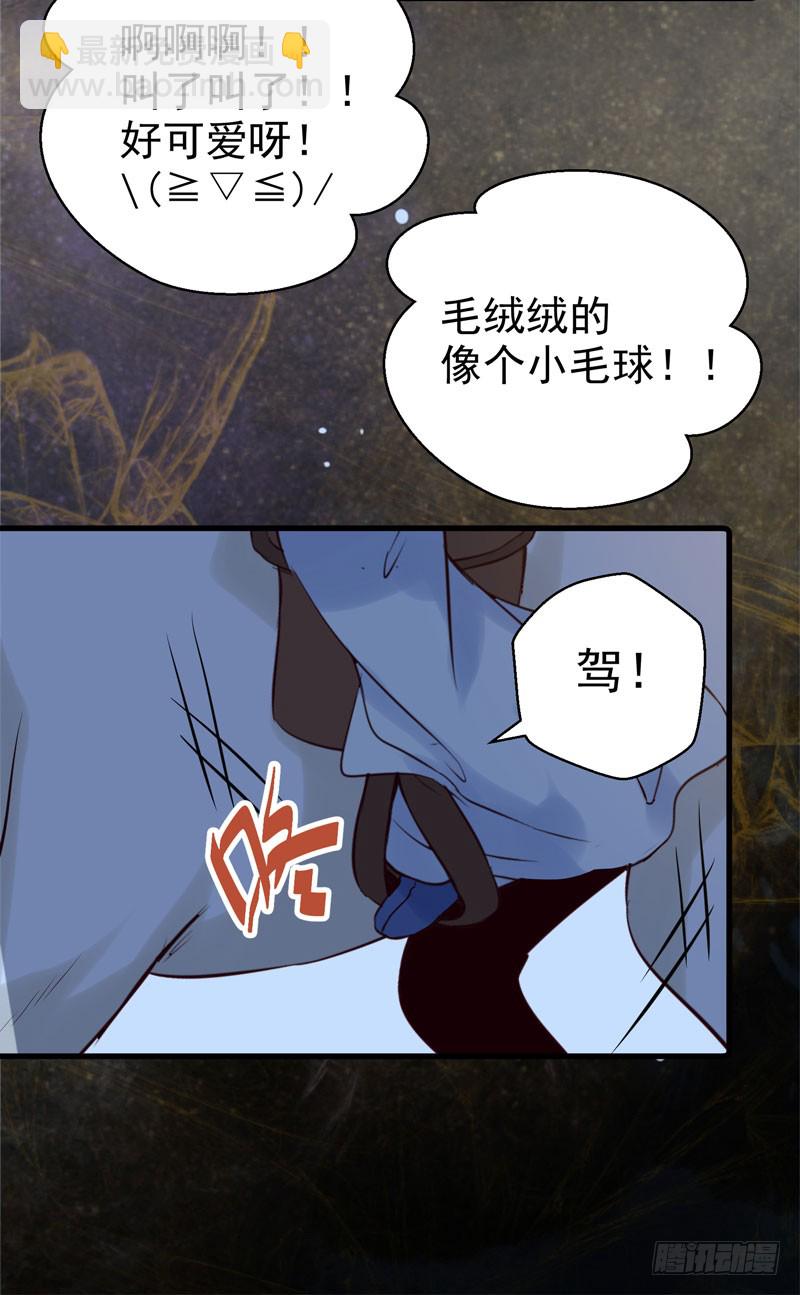 🍸鬼医凤九 引蛇出洞 第24页