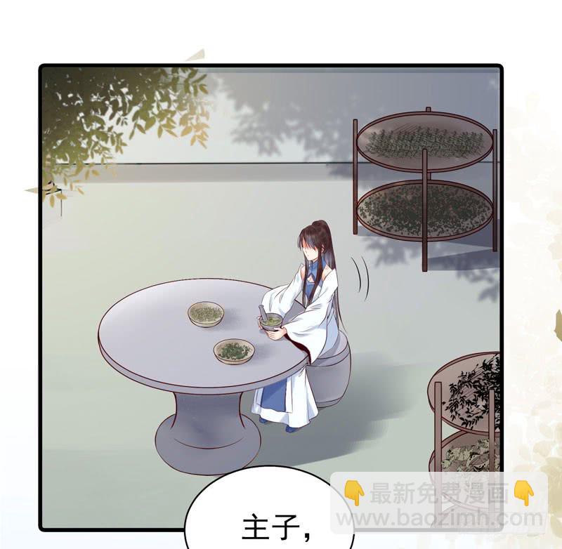 🍸鬼医凤九 我心悦于她 第3页