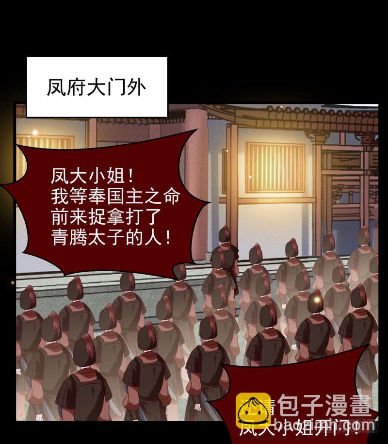 🍸鬼医凤九 包围凤府 第46页