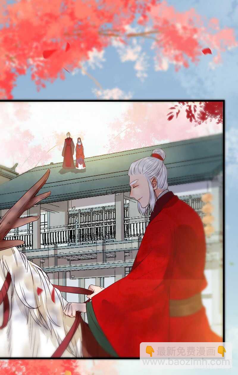 🍸鬼医凤九 爷爷迎亲 第47页