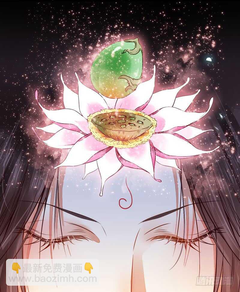 🍸鬼医凤九 混沌青莲 第17页