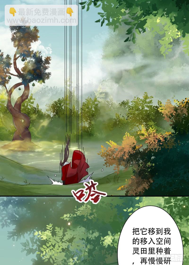 🍸鬼医凤九 入蛇窝 第31页
