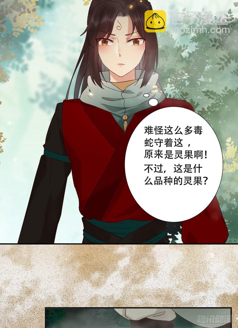 🍸鬼医凤九 入蛇窝 第4页