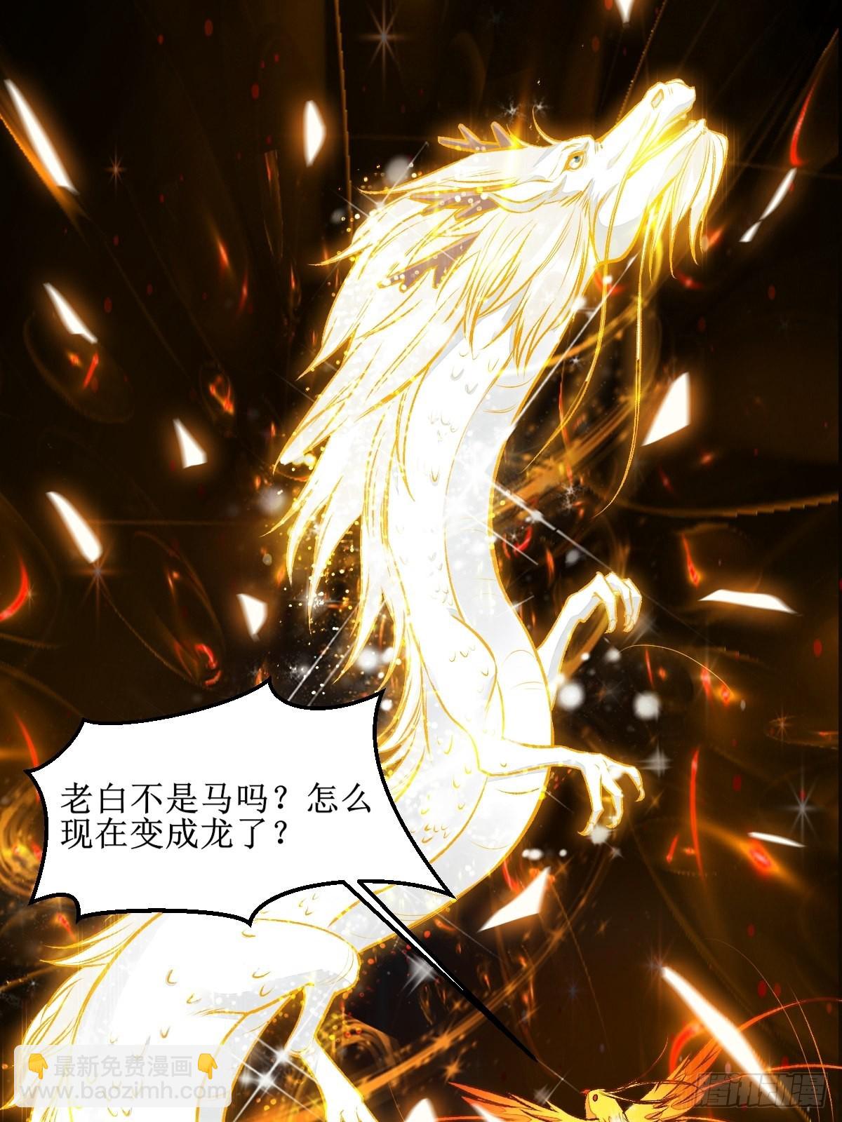 🍸鬼医凤九 老白进阶！ 第27页