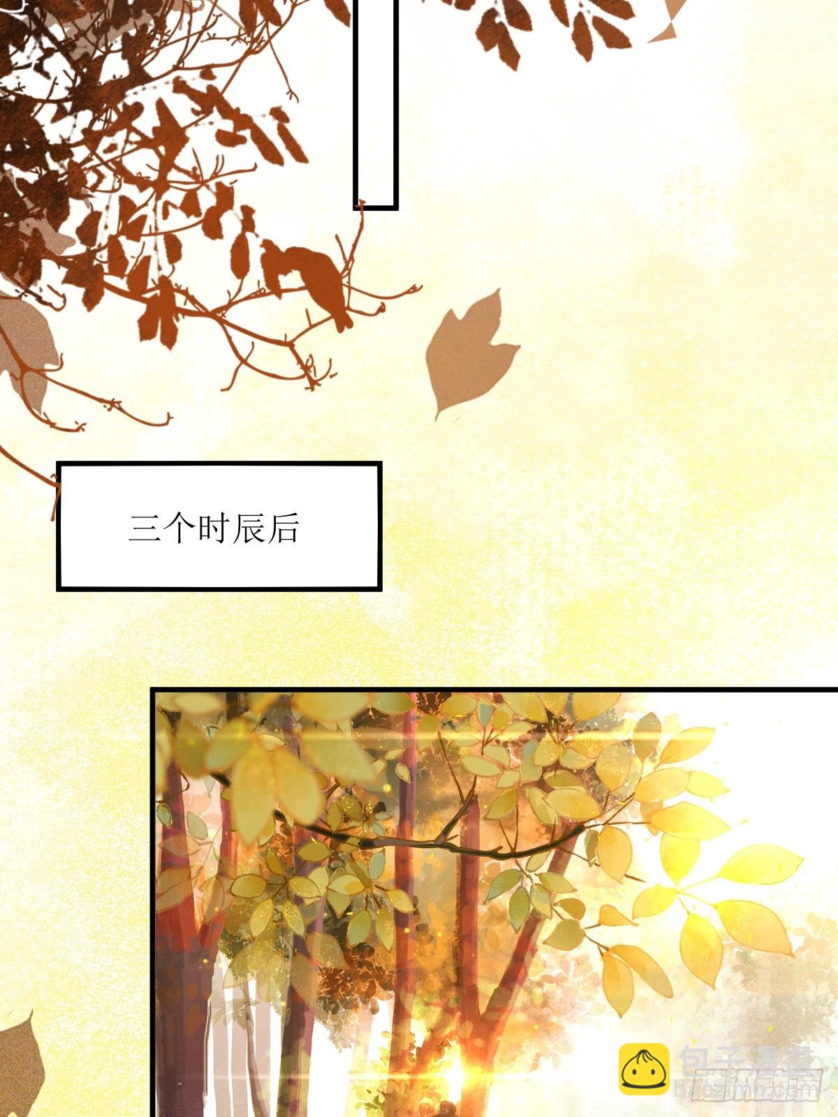 🍸鬼医凤九 548投桃报李 第13页