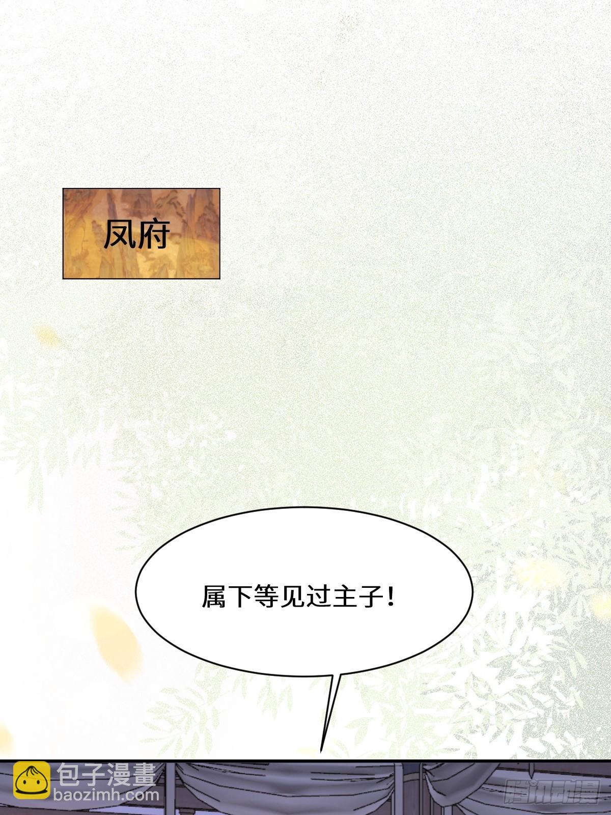 🍸鬼医凤九 574凌府凤府 第4页