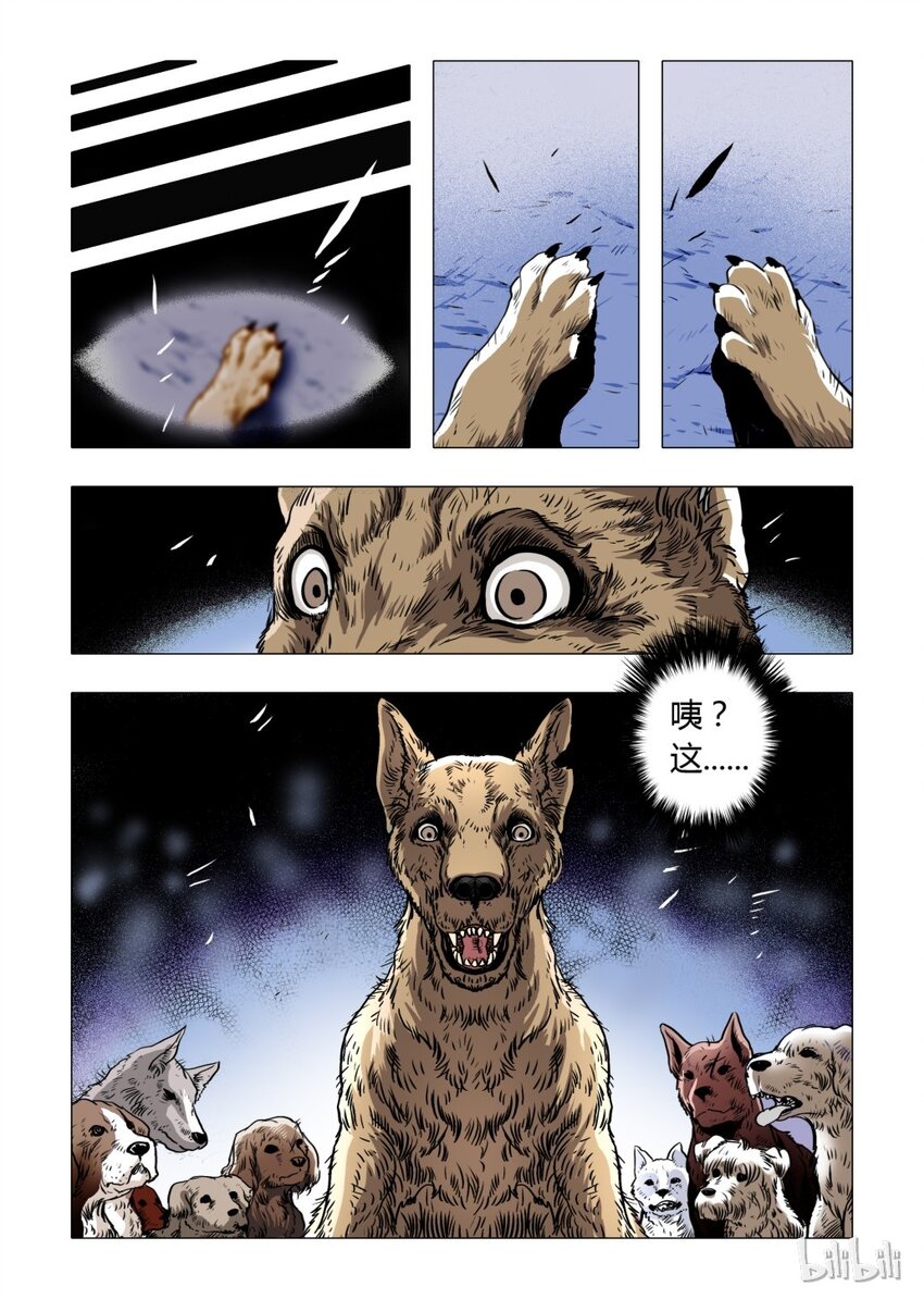 9 犬王8-第10话