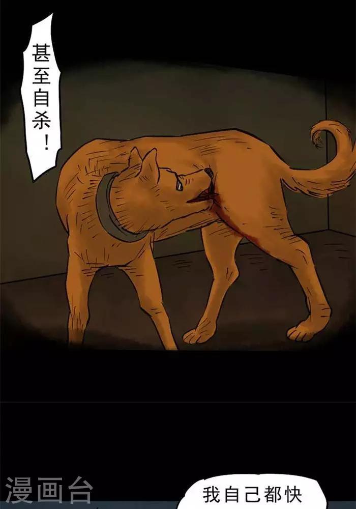 第61话-第66话
