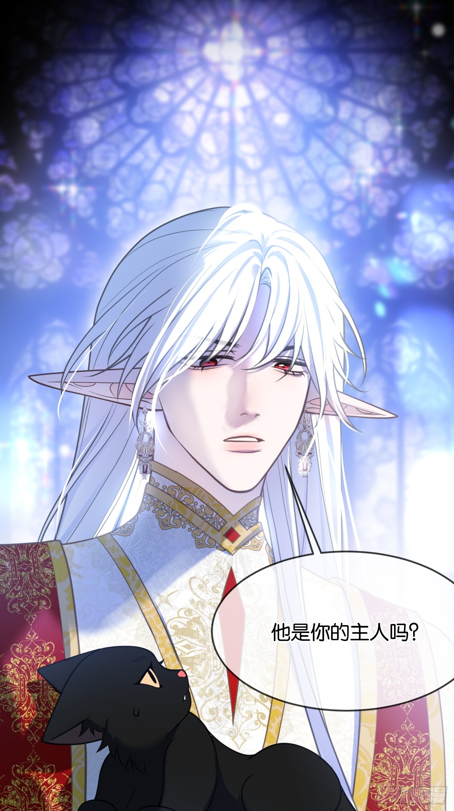 第一百二十五话 喵言喵语-第126话
