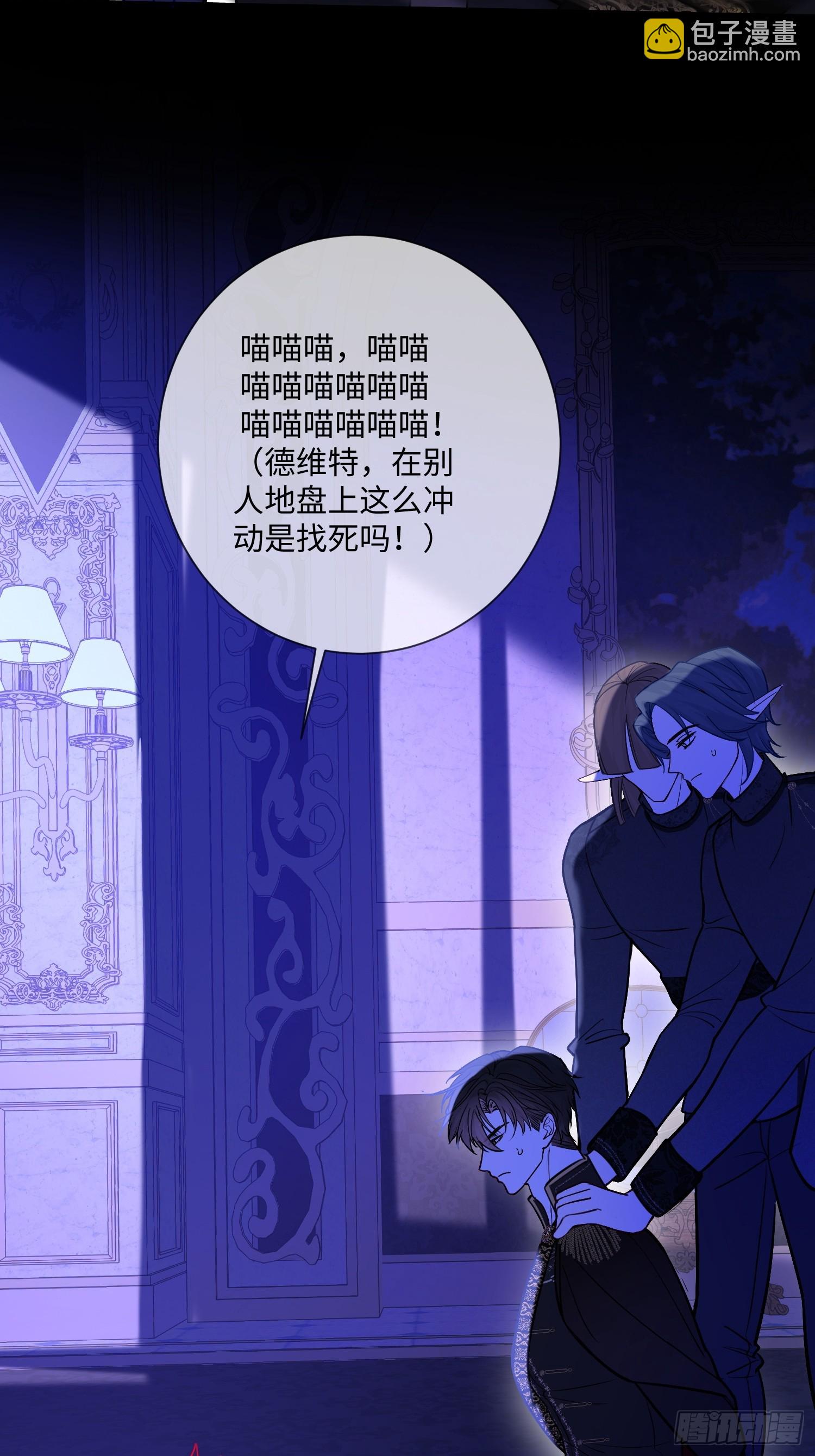第一百二十五话 喵言喵语-第126话