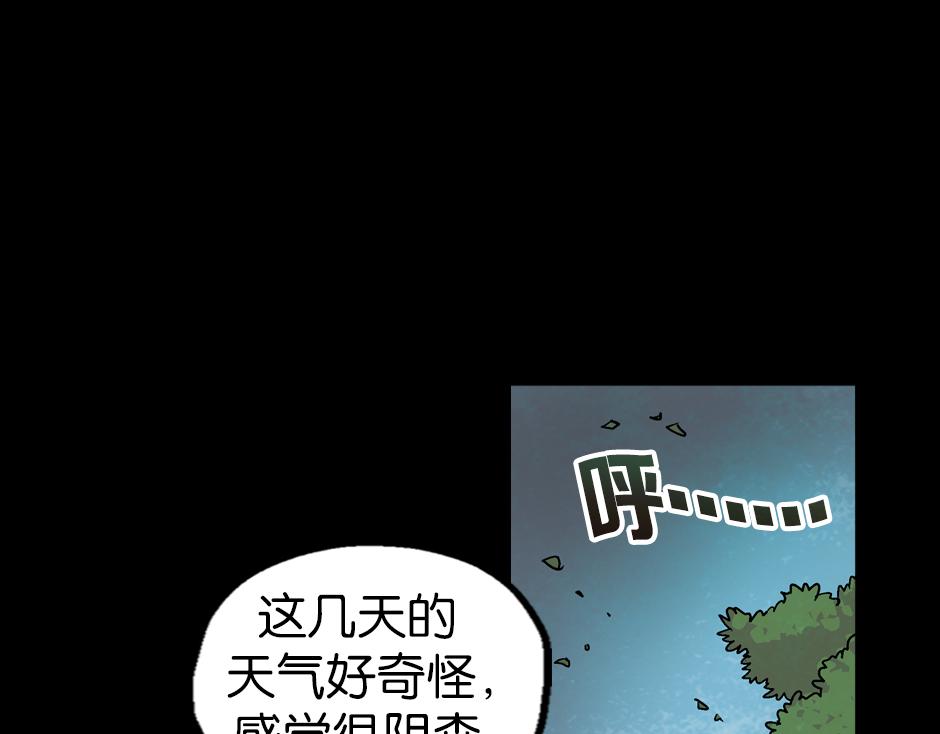 🍸古靈精怪 神秘的车 第19页