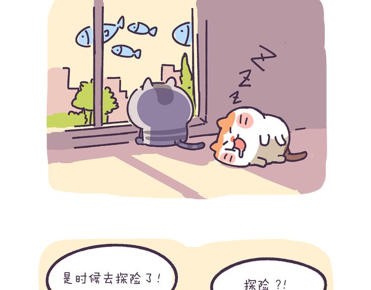 第2话 猫咪历险记-第2话