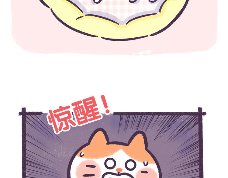 第52话 转发此条锦鲤有好运-第52话