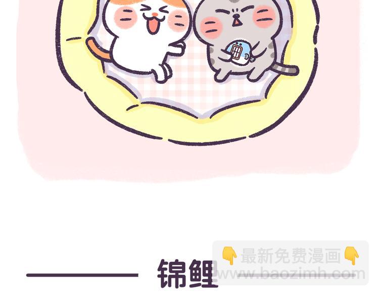 第52话 转发此条锦鲤有好运-第52话