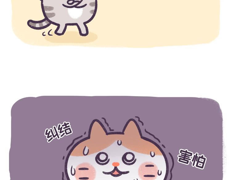 第52话 转发此条锦鲤有好运-第52话