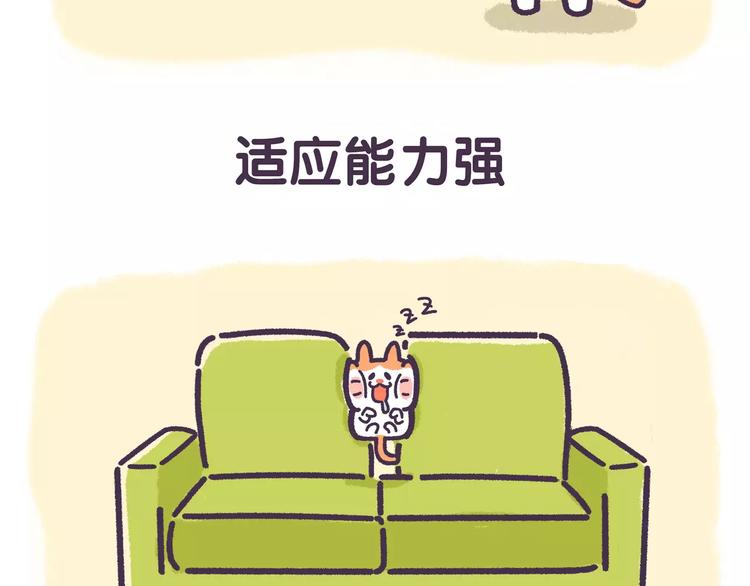 第68话 猪是一种什么样的生物-第68话