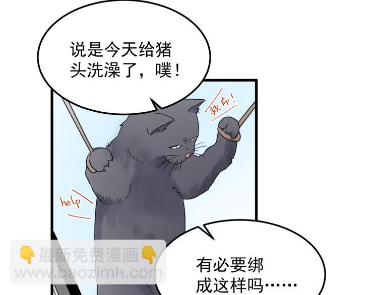 第48话 胃病缓和(1/2)-第48话