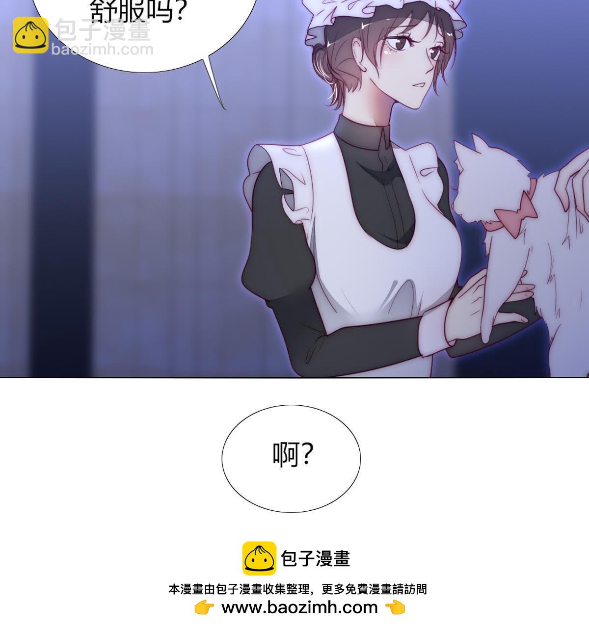 第41话：您不是对猫过敏吗？(1/2)-第42话