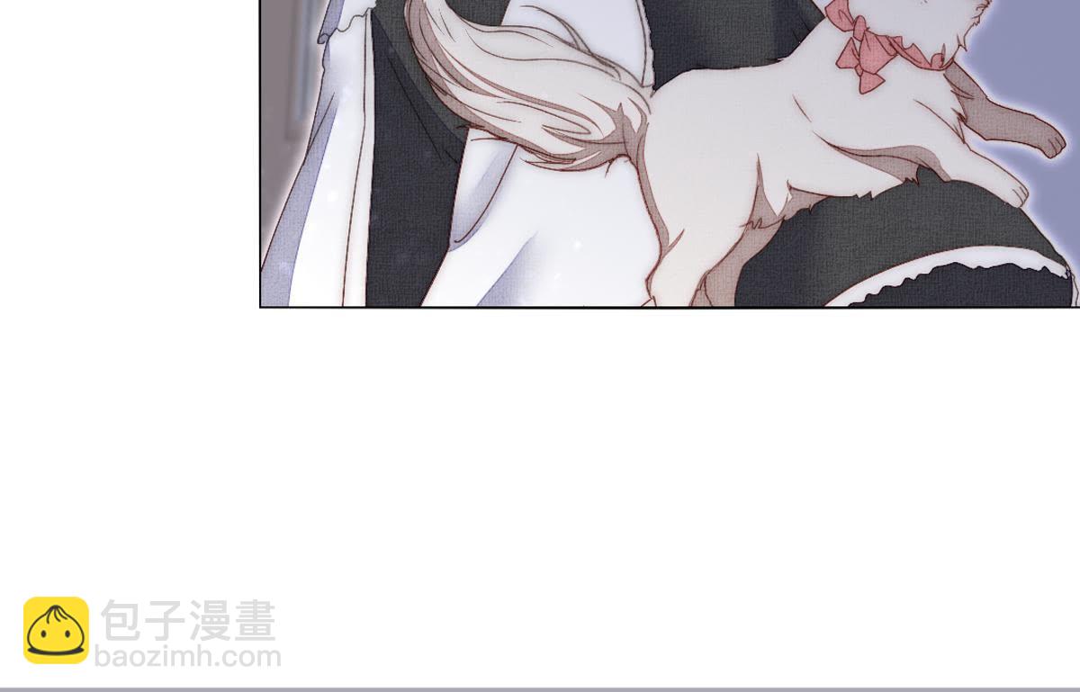 第41话：您不是对猫过敏吗？(1/2)-第42话