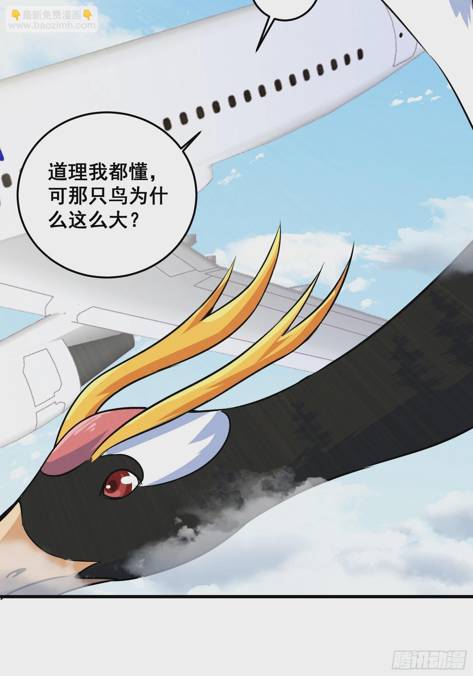 005 好大的鸟啊！-第6话