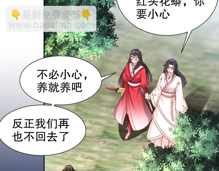 🍸孤若玄迟 女侠本侠 第11页