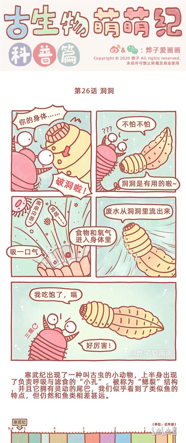 第26话 洞洞-第30话