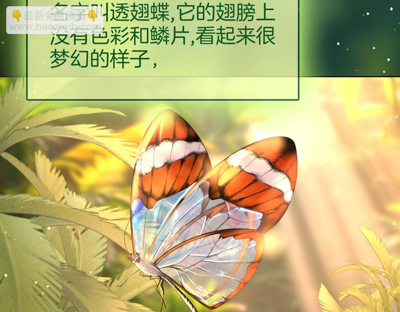 第146话 想见她(1/2)-第168话