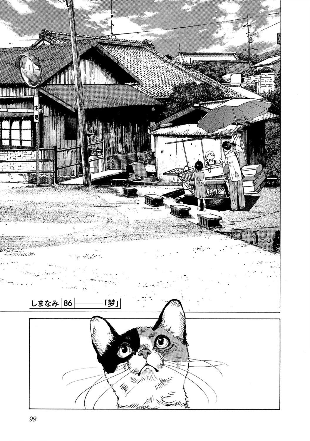 海岛与少女还有猫 第86话