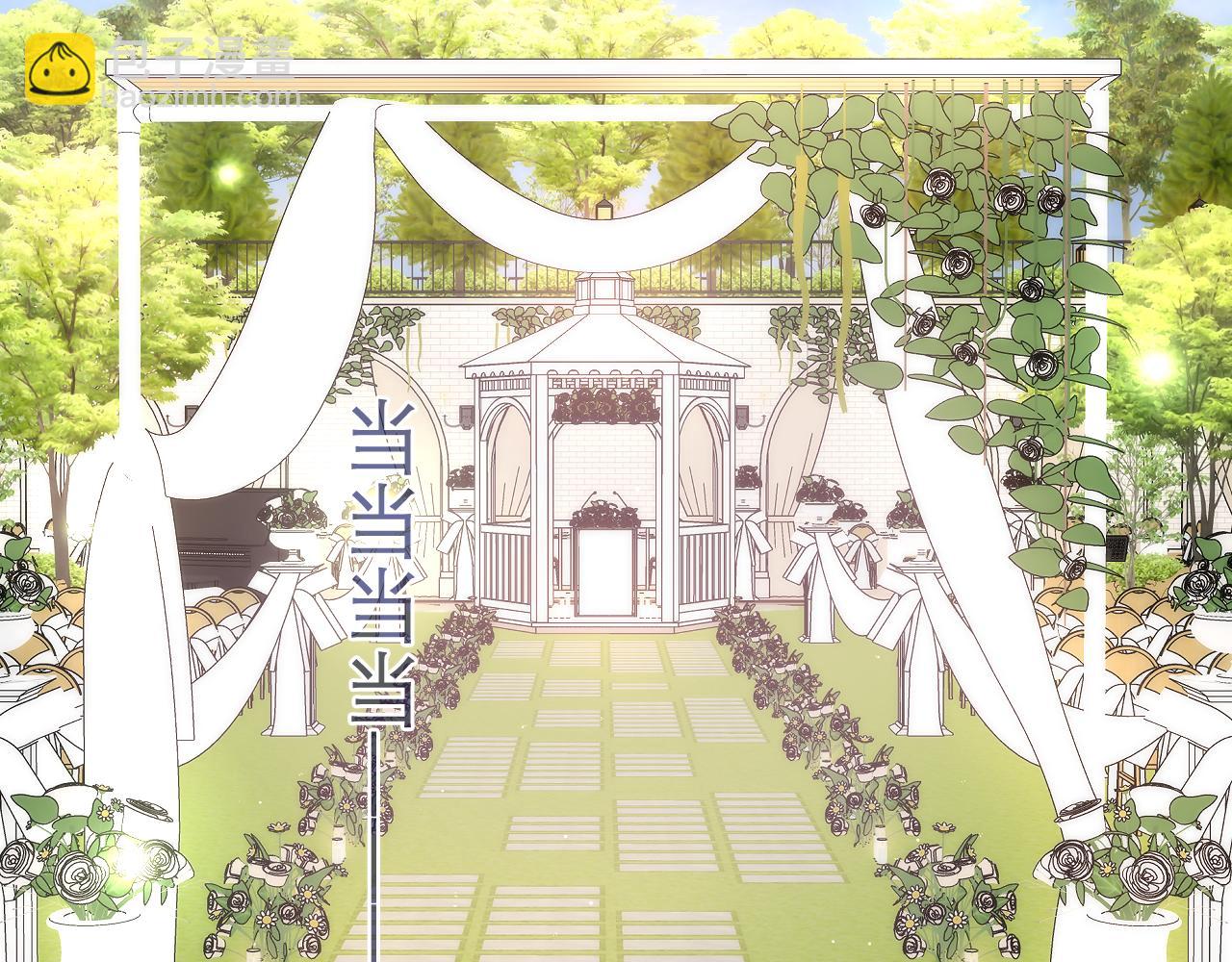 第100话 我们结婚啦！(1/3)-第104话