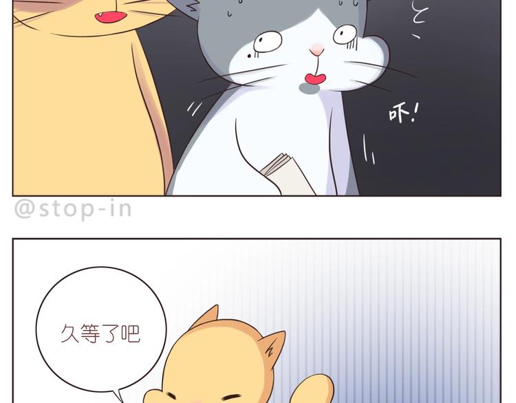 第245话 喜欢才会撩-第246话