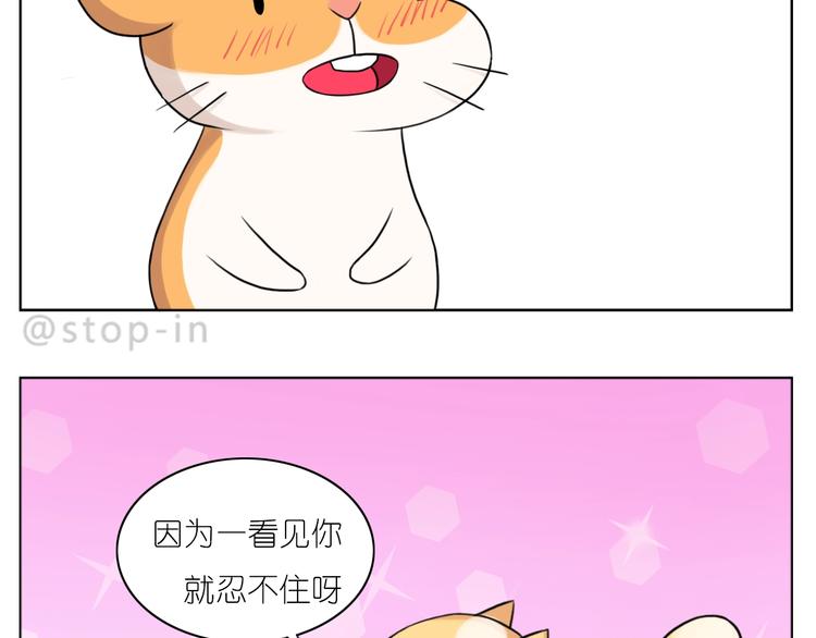 第249话 幸福的起点-第250话