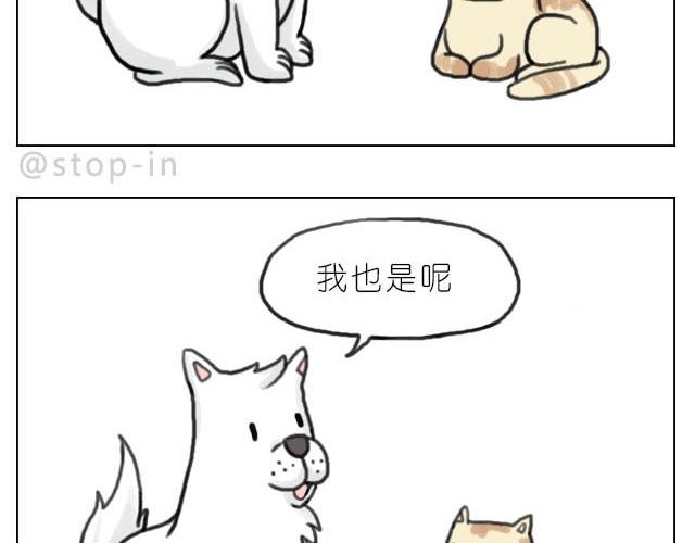 我最害怕的是再也找不到你了-第30话