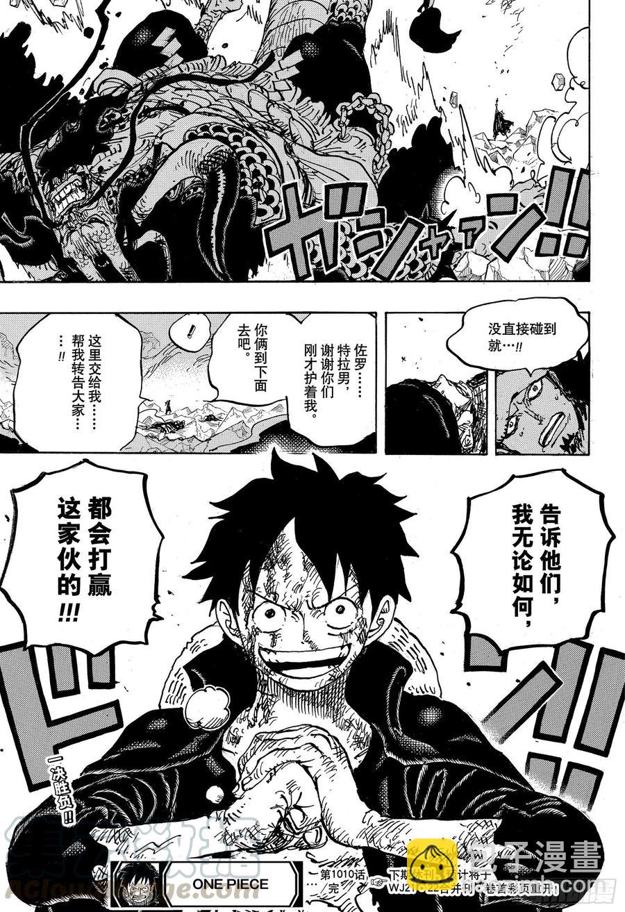 🍹航海王 第1010话 霸王色 第17页