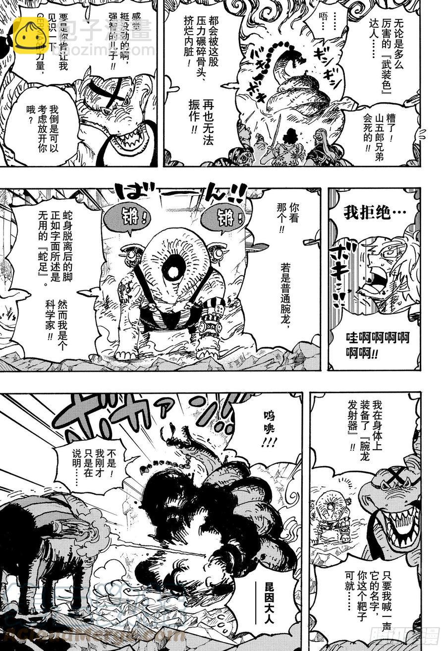 🍹航海王 第1028话 腕龙蛇 第15页