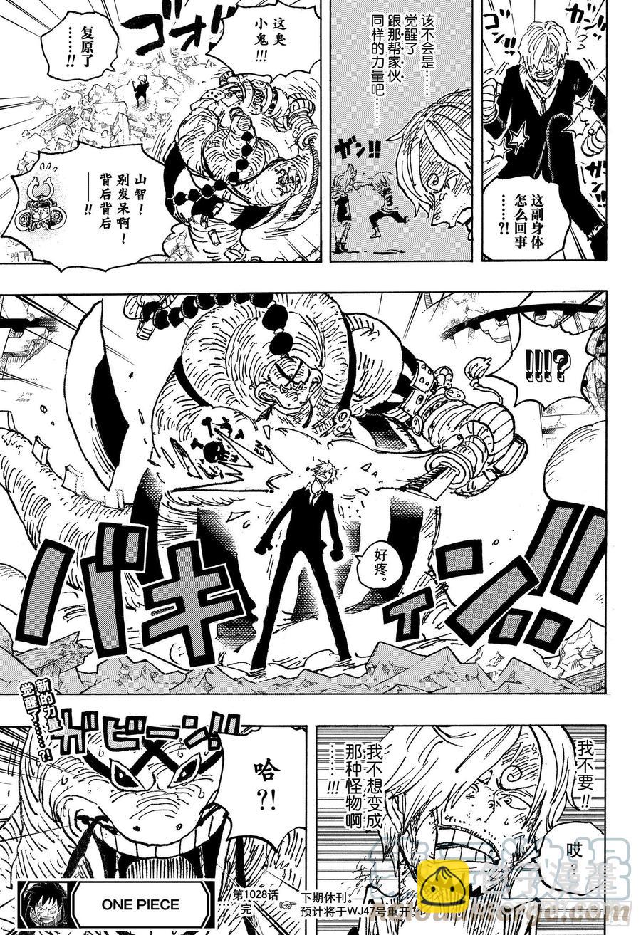 🍹航海王 第1028话 腕龙蛇 第17页