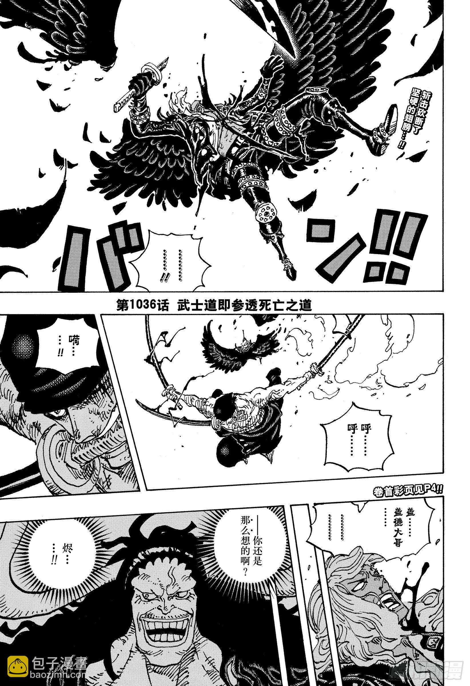 🍹航海王 第1036话 武士道即参透死亡 第3页