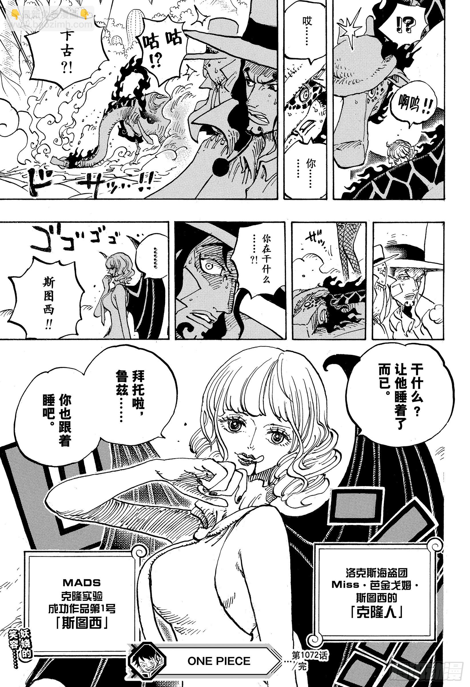 🍹航海王 第1072话 记忆的重量 第17页