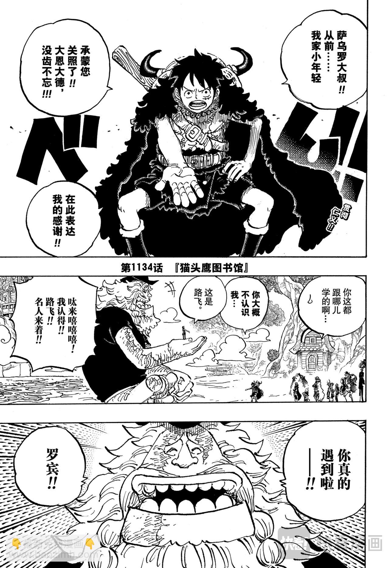 🍹航海王 第1134话 『猫头鹰图书馆』 第3页