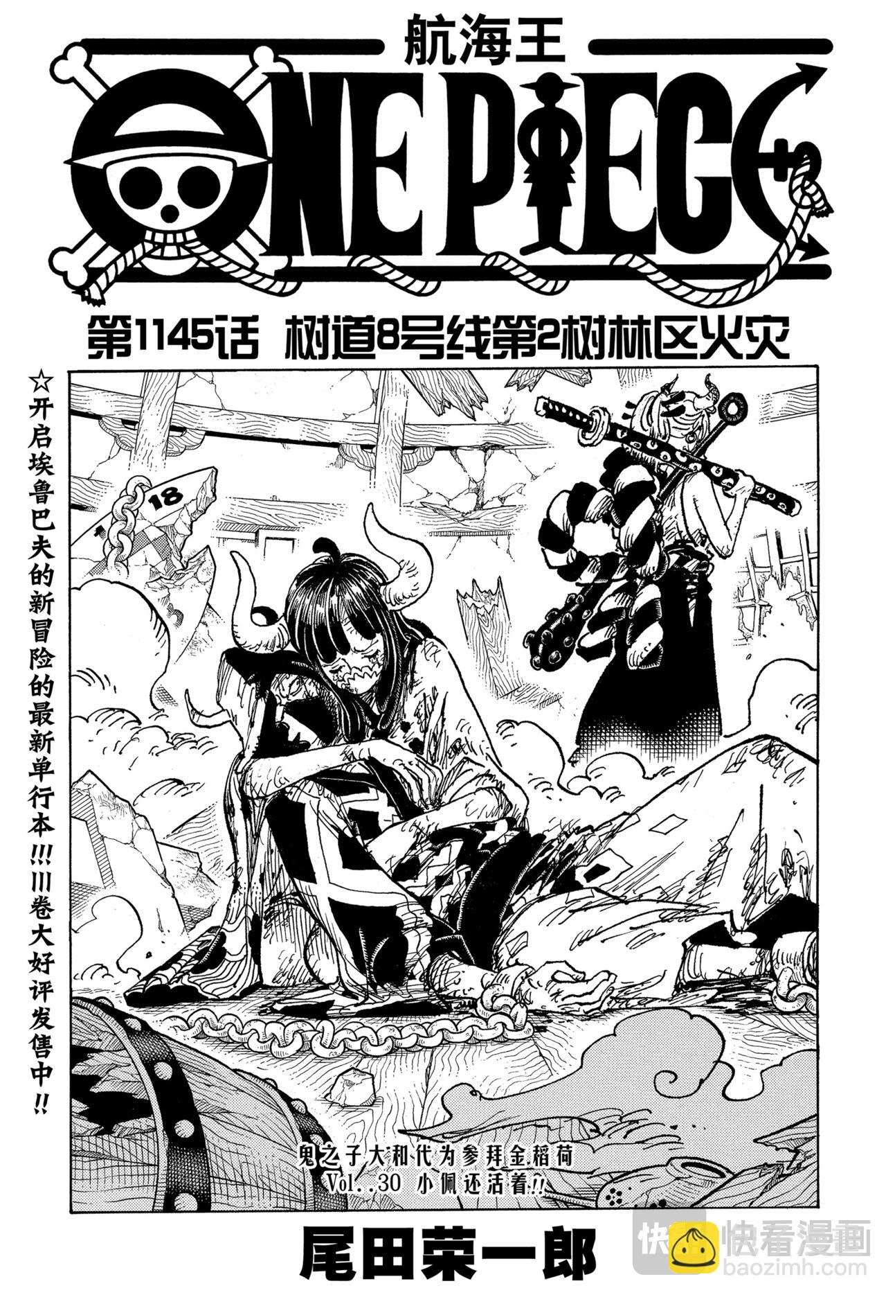 🍹航海王 第1145话 树道8号线 第3页