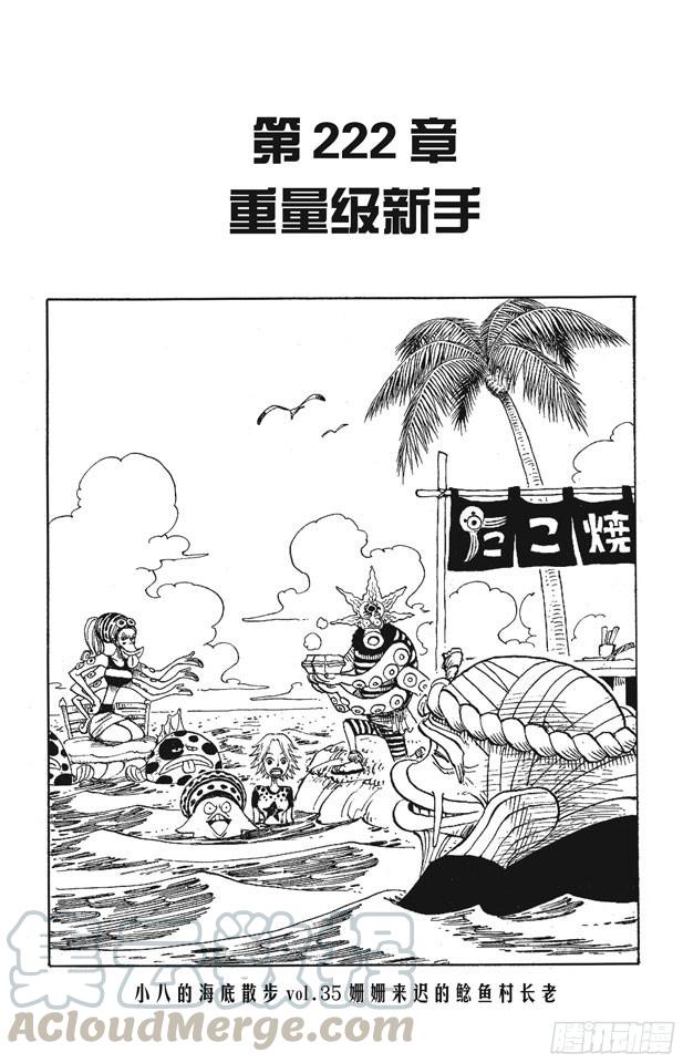 🍹航海王 第222话 重量级新手 第1页