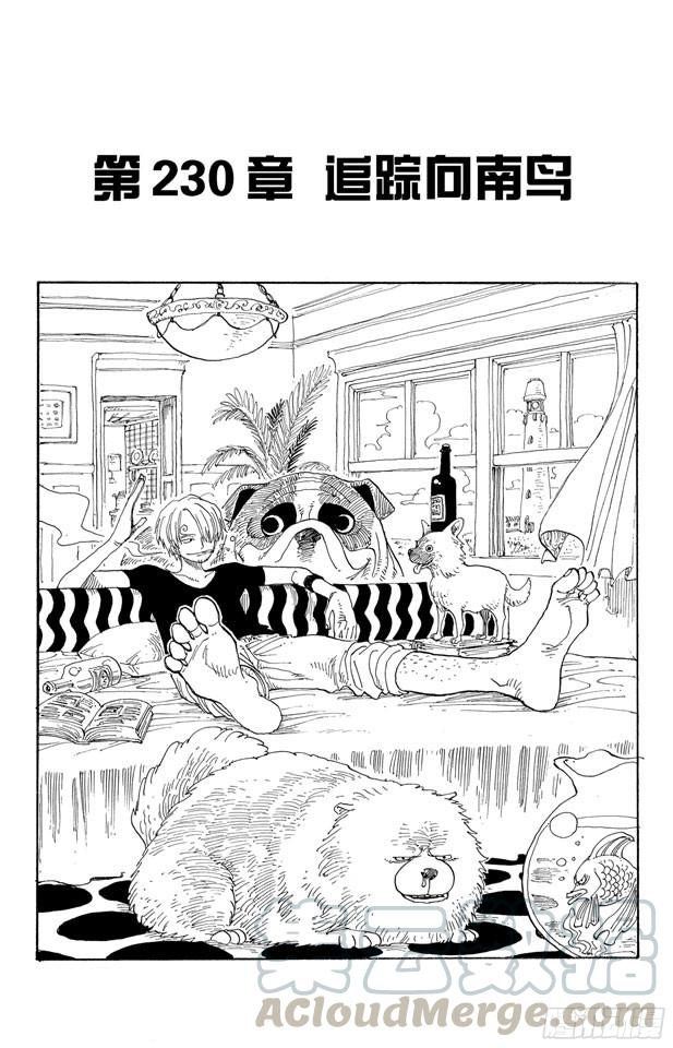 🍹航海王 第230话 追踪向南鸟 第1页
