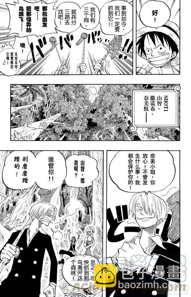 🍹航海王 第230话 追踪向南鸟 第11页