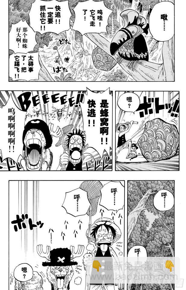 🍹航海王 第230话 追踪向南鸟 第17页