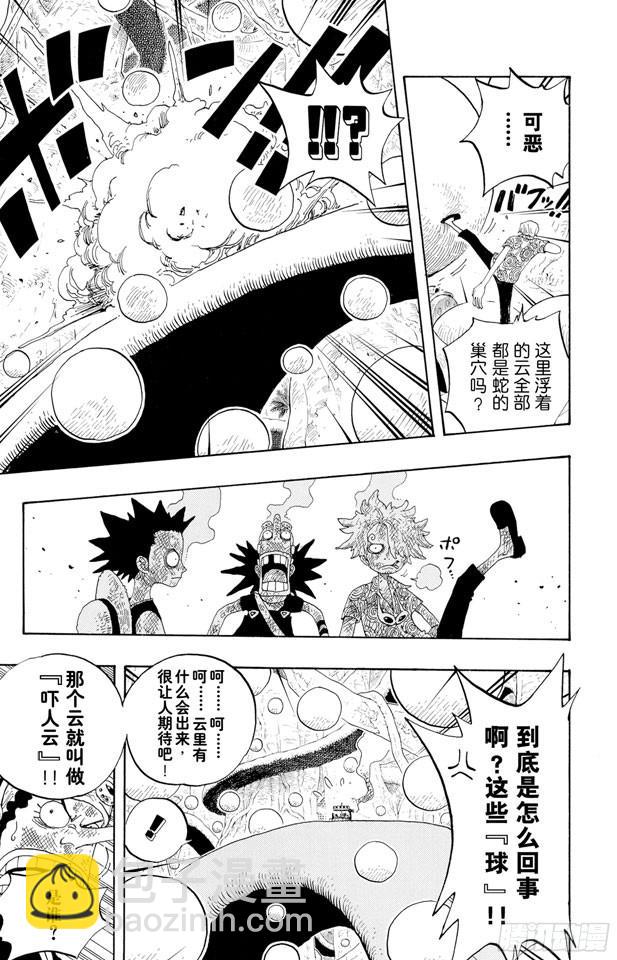 🍹航海王 第246话 迷失森林的神官阿悟 第12页