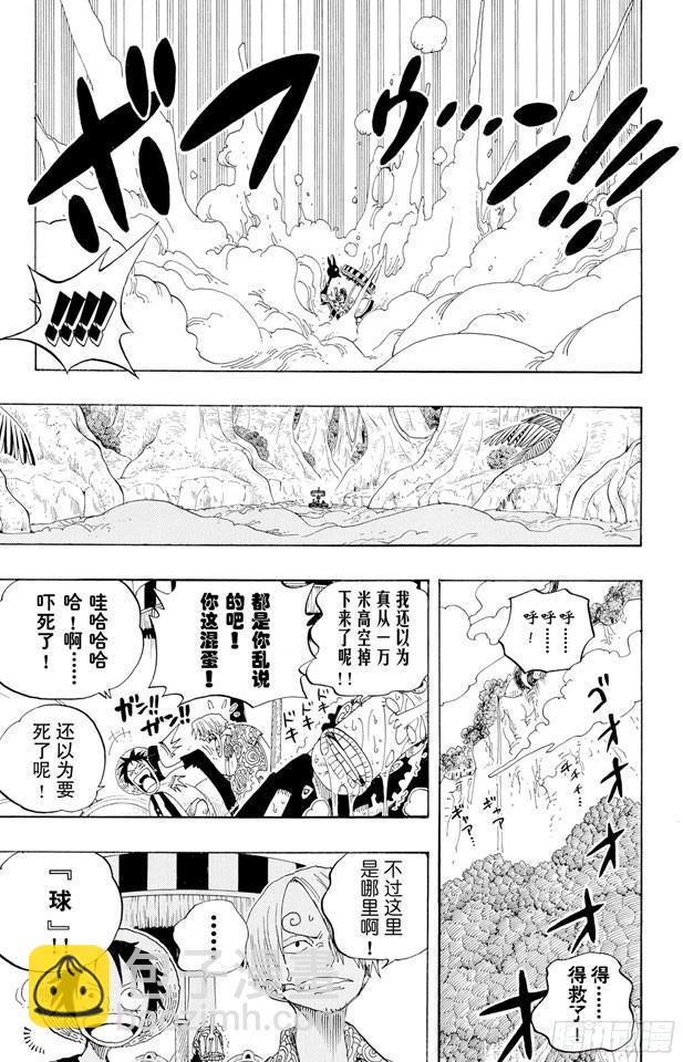 🍹航海王 第246话 迷失森林的神官阿悟 第8页