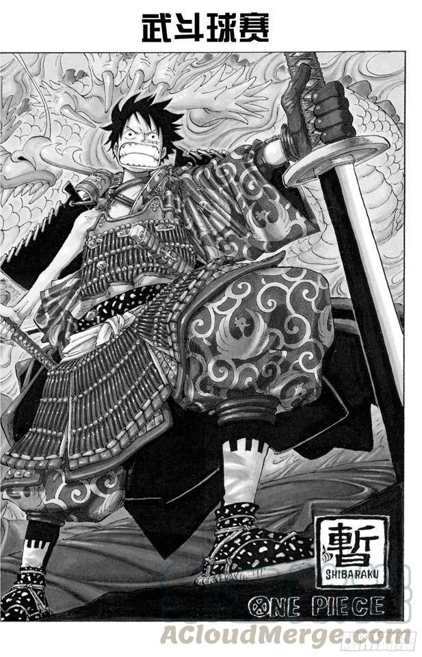 🍹航海王 第310话 武斗球赛 第1页