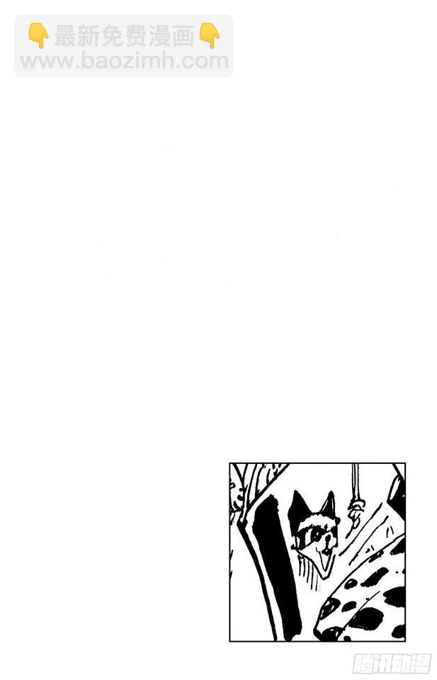 🍹航海王 第310话 武斗球赛 第3页