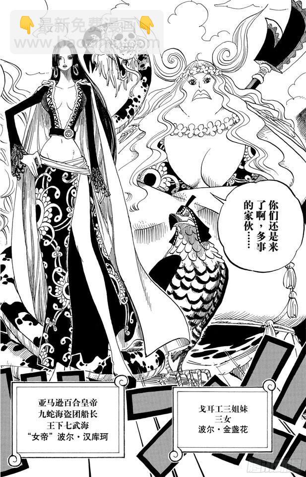 🍹航海王 第516话 海盗女帝波尔•汉库珂 第13页