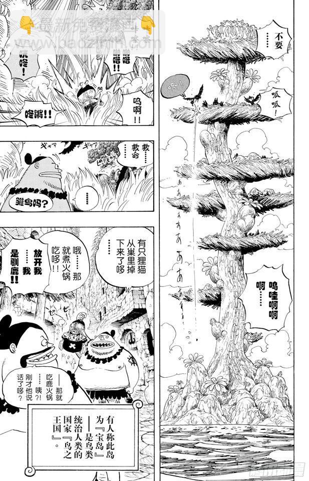 🍹航海王 第524话 无人可以阻止 第9页