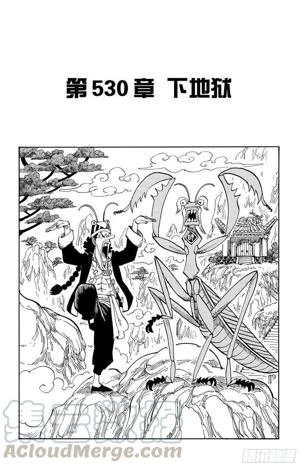 🍹航海王 第530话 下地狱 第1页